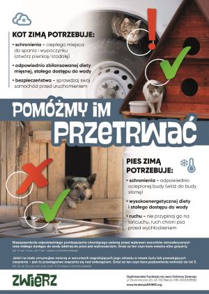 Zwierzęta zimą - plakat