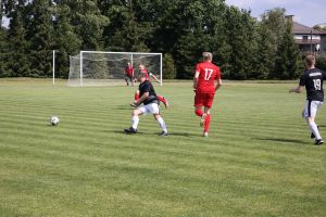Piłka w grze (2)