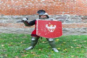 Mężczyzna w zbroi trzymający tarczę i podniesiony miecz