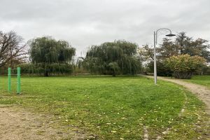 Kasztanowiec i tawuły 1