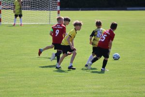 IMG_2008