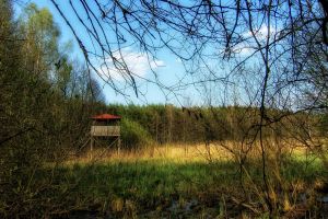 Orłowo okolica - platforma widokowa