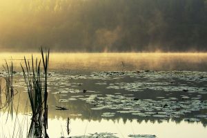 Wikno_kraina-7_okolica-Nidzica-Mazury20-jezioro-Zdręczno014