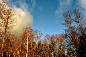 Wikno_kraina-7_okolica-Nidzica-Mazury29-rezerwat-Koniuszanka-II023