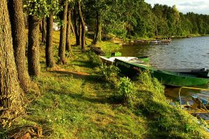 Natac_mala_kraina-7_okolica-Nidzica-Mazury8016