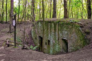 Wikno_kraina-7_okolica-Nidzica-Mazury7-bunkier-bierny-w-Koniuszance-II045