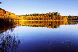 Wikno_kraina-7_okolica-Nidzica-Mazury22-jezioro-Zdreczno016