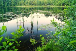 Wikno_kraina-7_okolica-Nidzica-Mazury23-jezioro-Zdręczno017