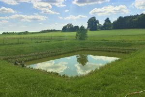 Nowo powstały zbiornik retencyjny w miejscowości Bartoszki