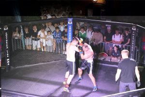 IMG_3346