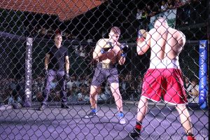 IMG_3286