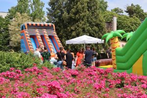 IMG_3778 (Copy)