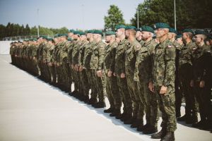 Żołnierze stoją w szeregu (2)