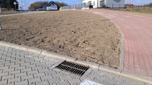 Teren przygotowany pod nasadzenia (2)