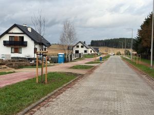 Drzewa zostały posadzone po obu stronach ulicy (2)