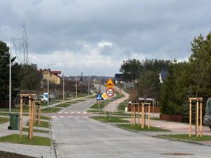 Panorama wszystkich nasadzeń