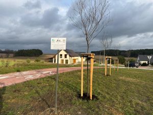 Widok tablicy informacyjnej na tle posadzonych drzew