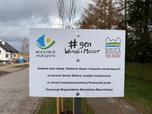 Widok tablicy informacyjnej projektu