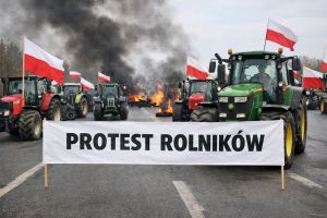 WhatsApp Image 2025-12-30 at 11.42.02